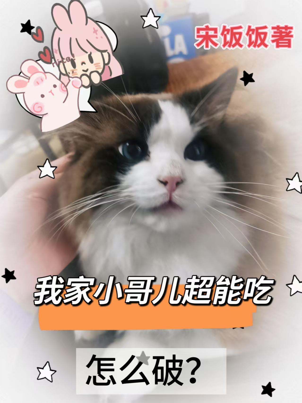 我家小哥儿超能吃怎么破?